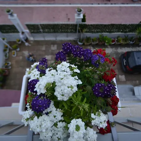 B&B Tirana - Vila 21 ベッド・アンド・ブレックファスト *
